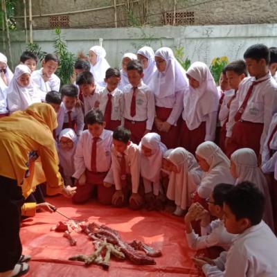 Pembelajaran Organ Tubuh Hewan Saat Kegiatan Latihan Berqurban 1